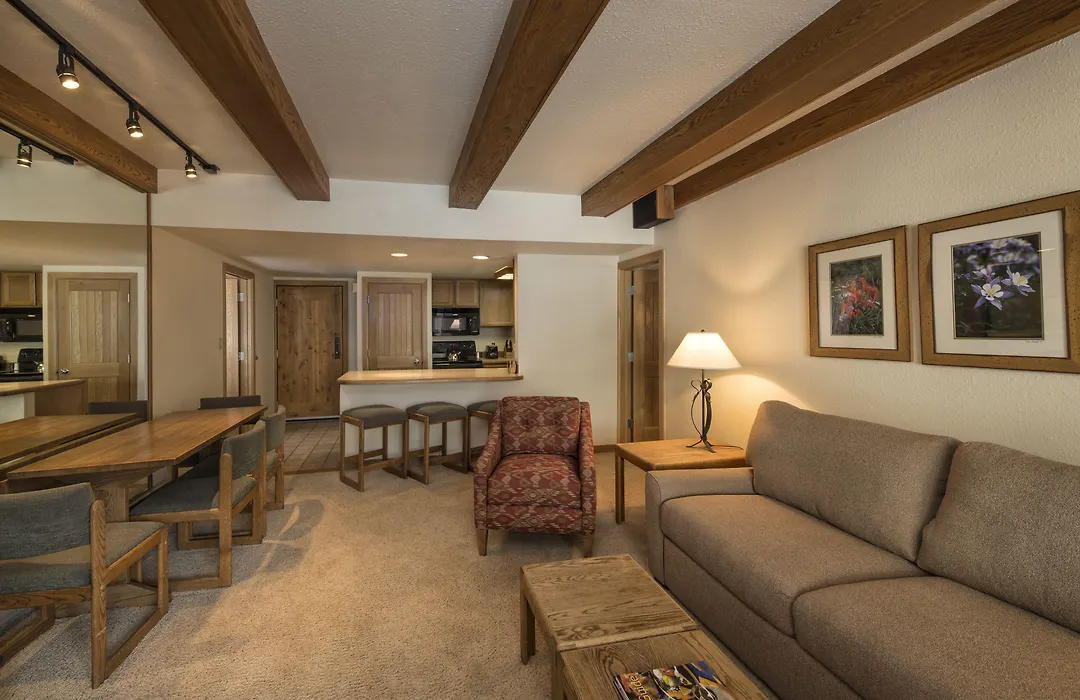 Lodge At Lionshead-1